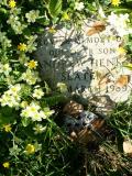 image of grave number 61225